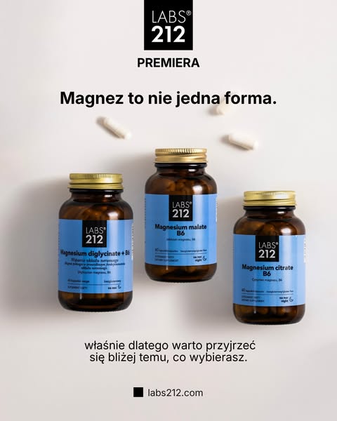 Strona główna