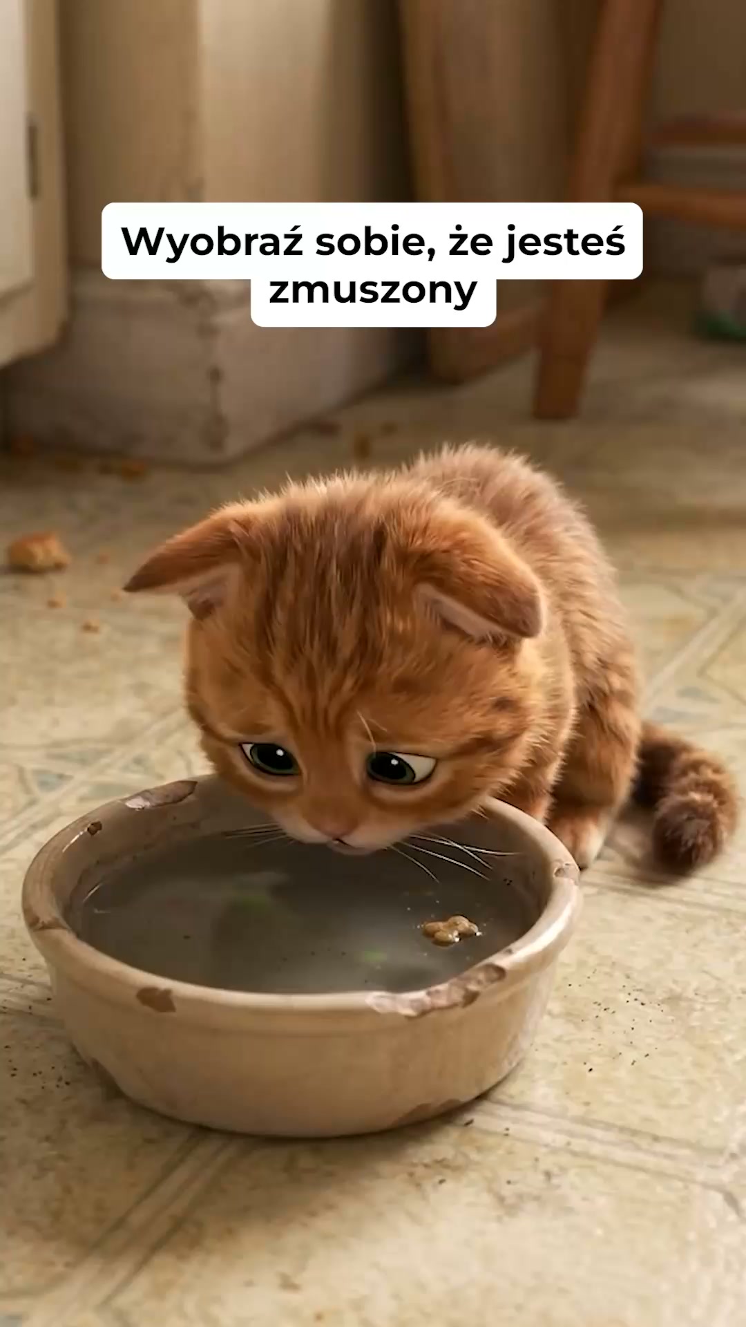 Przestań podawać kotu wodę w misce