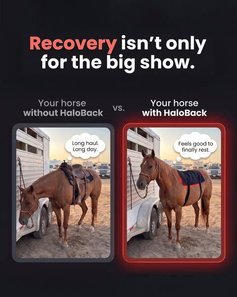 Back care for the long haul.