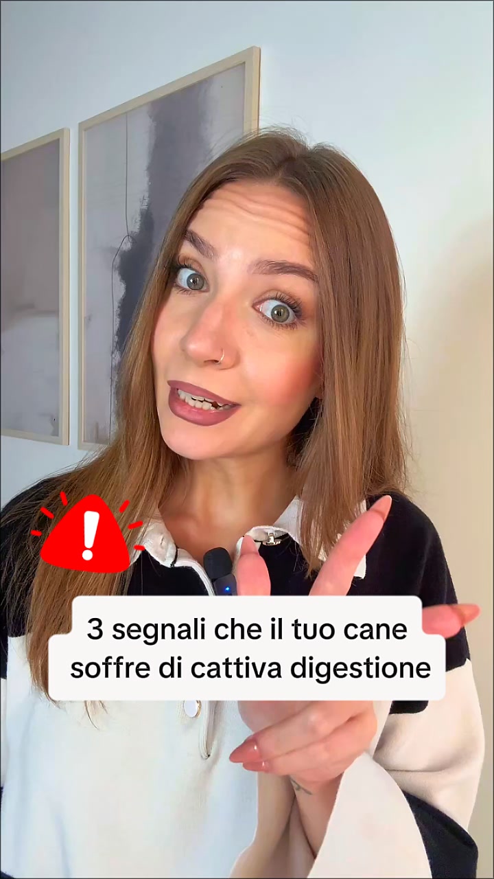 Elimina il Prurito del tuo Cane alla Fonte