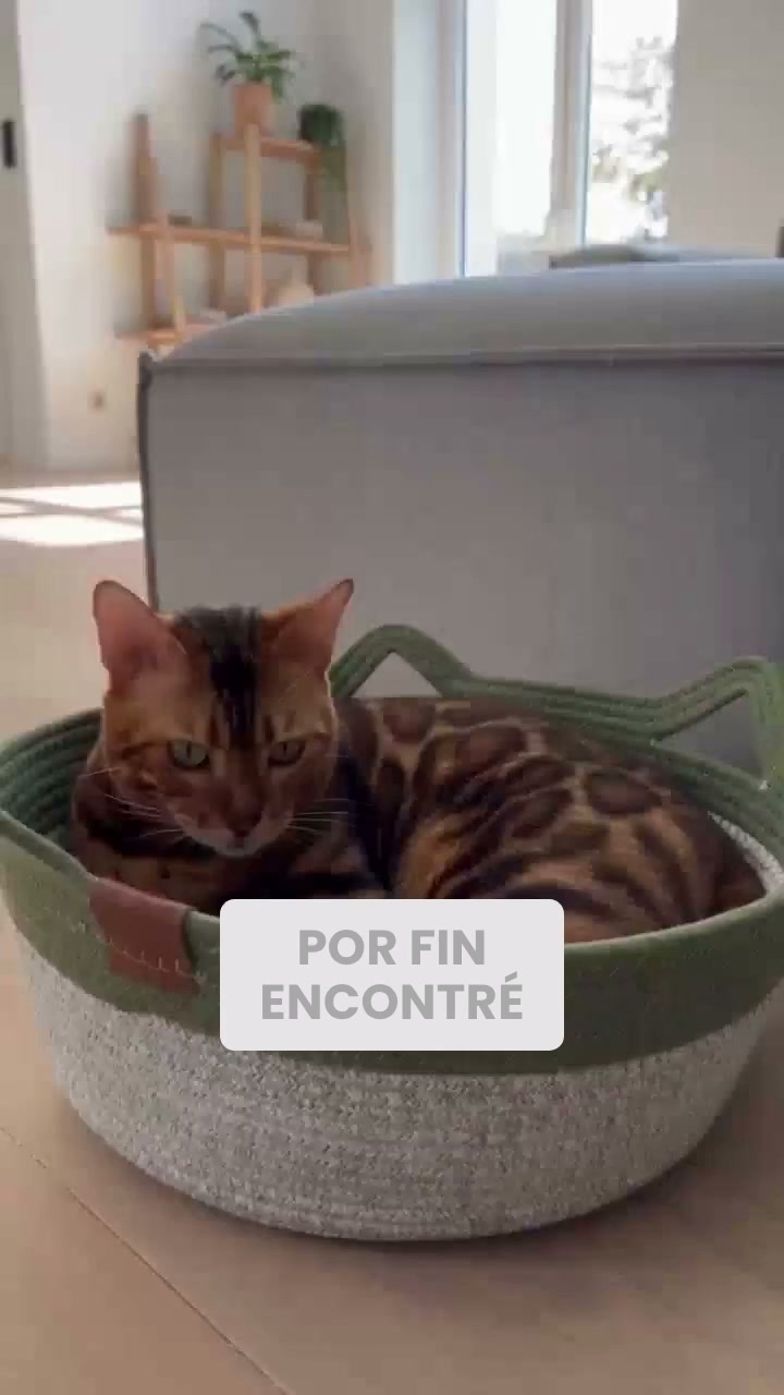 Lo que sus uñas llevaban tiempo buscando