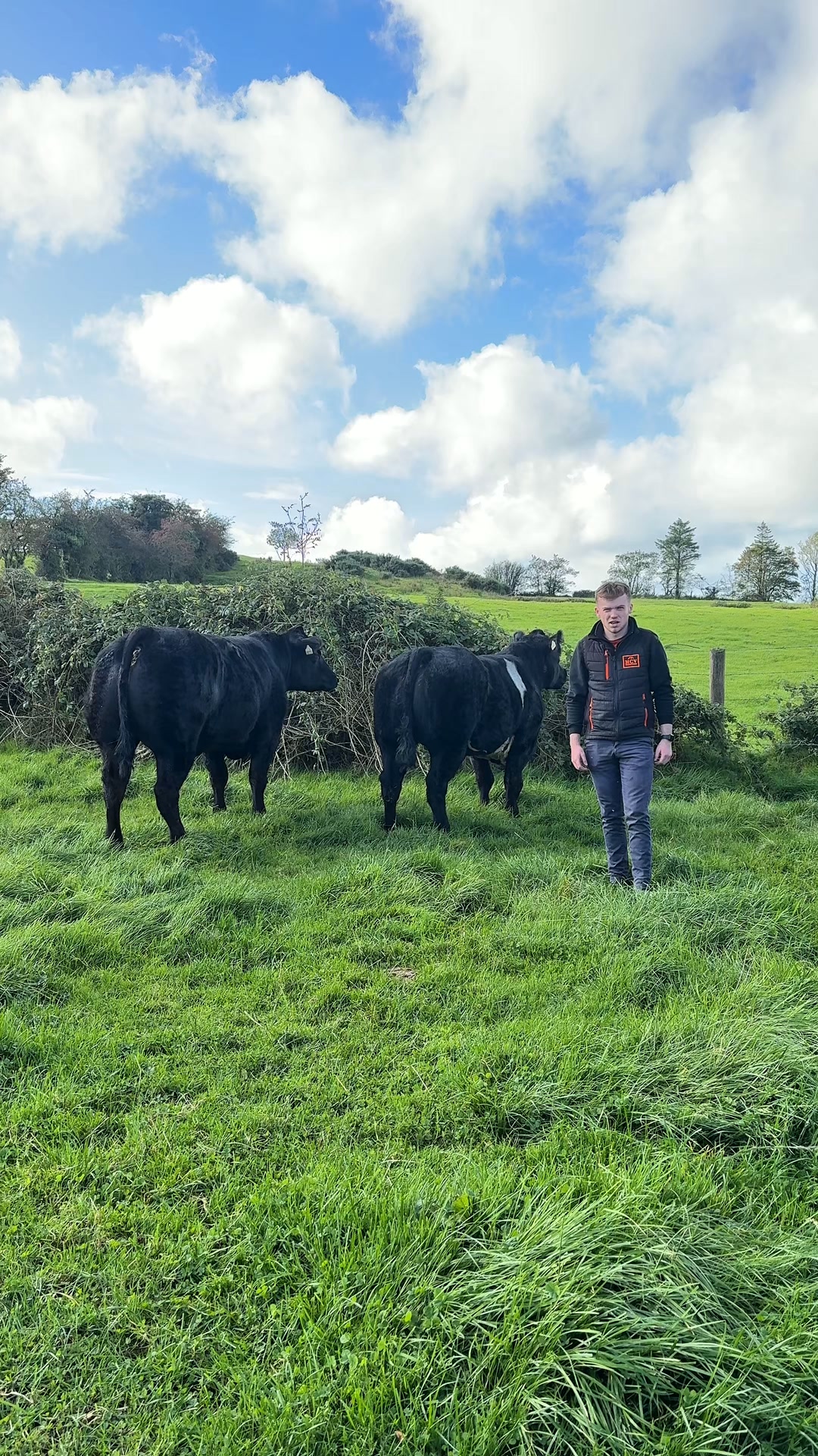 Win This Pair Of Elite Heifers!