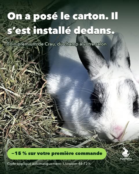 Le foin que les lapins ne boudent pas