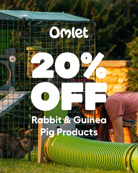 Fall savings for small pets