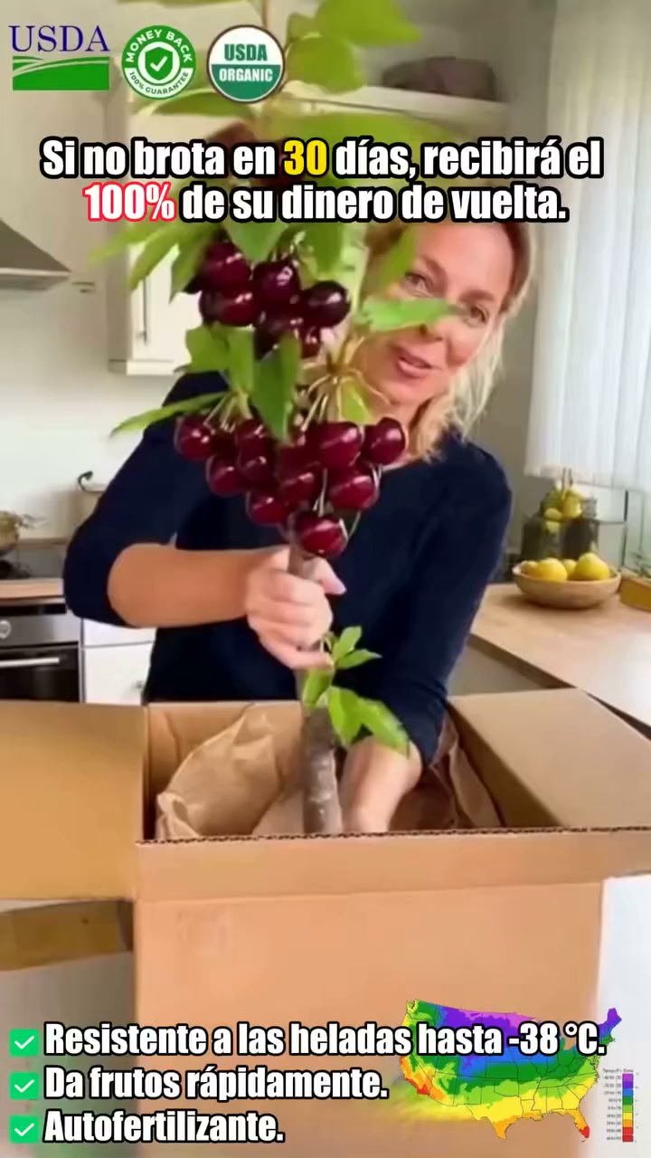 Pide hoy y asegura tu descuento actual