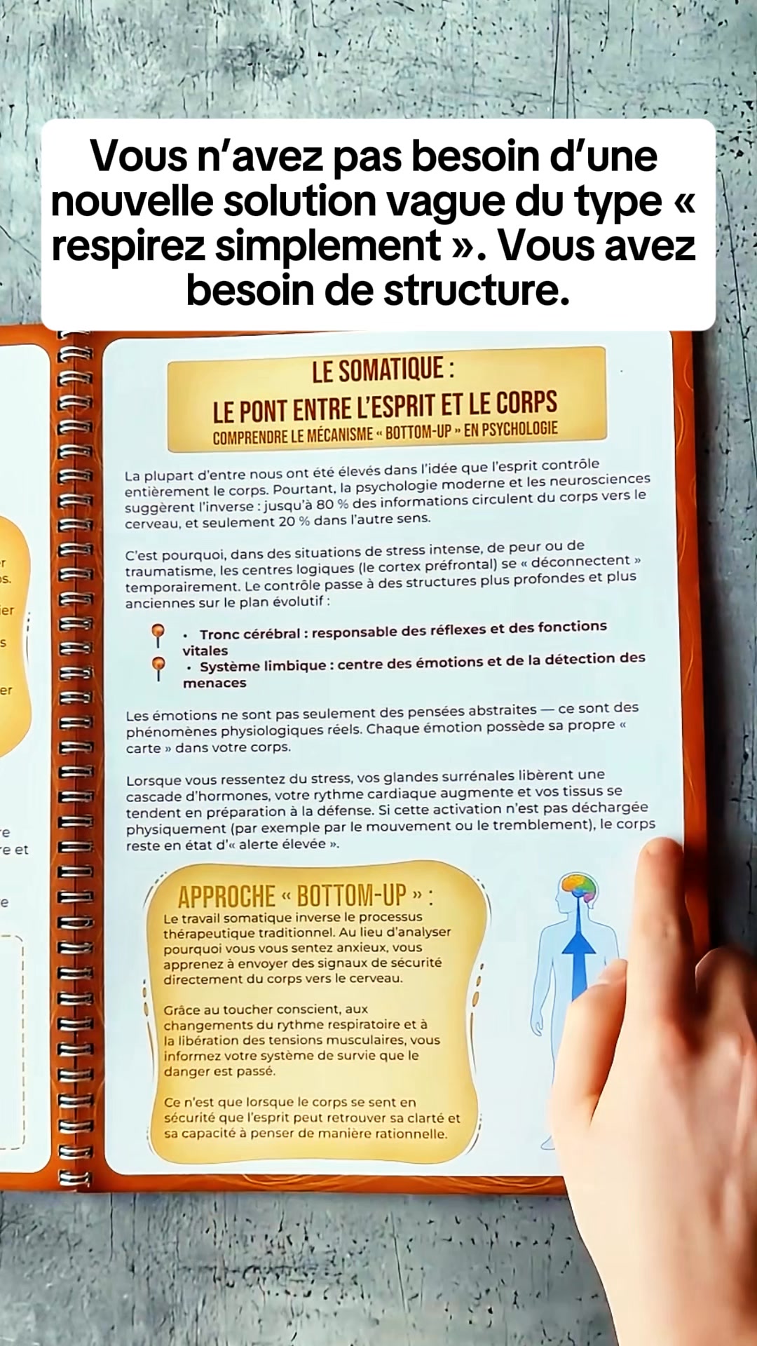 Cahier d’Exercices de Thérapie Somatique