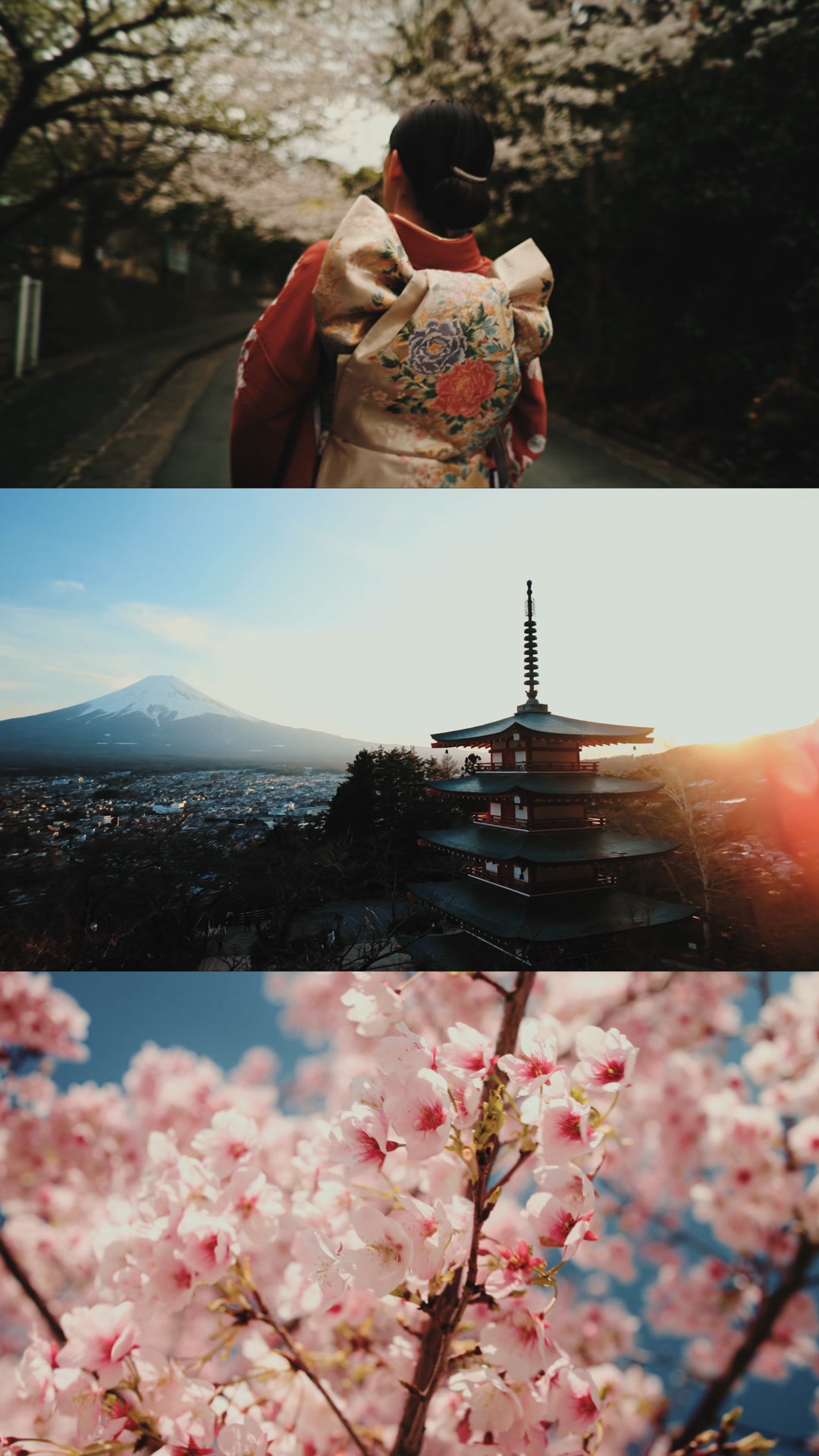 ONE CLICK LUTs