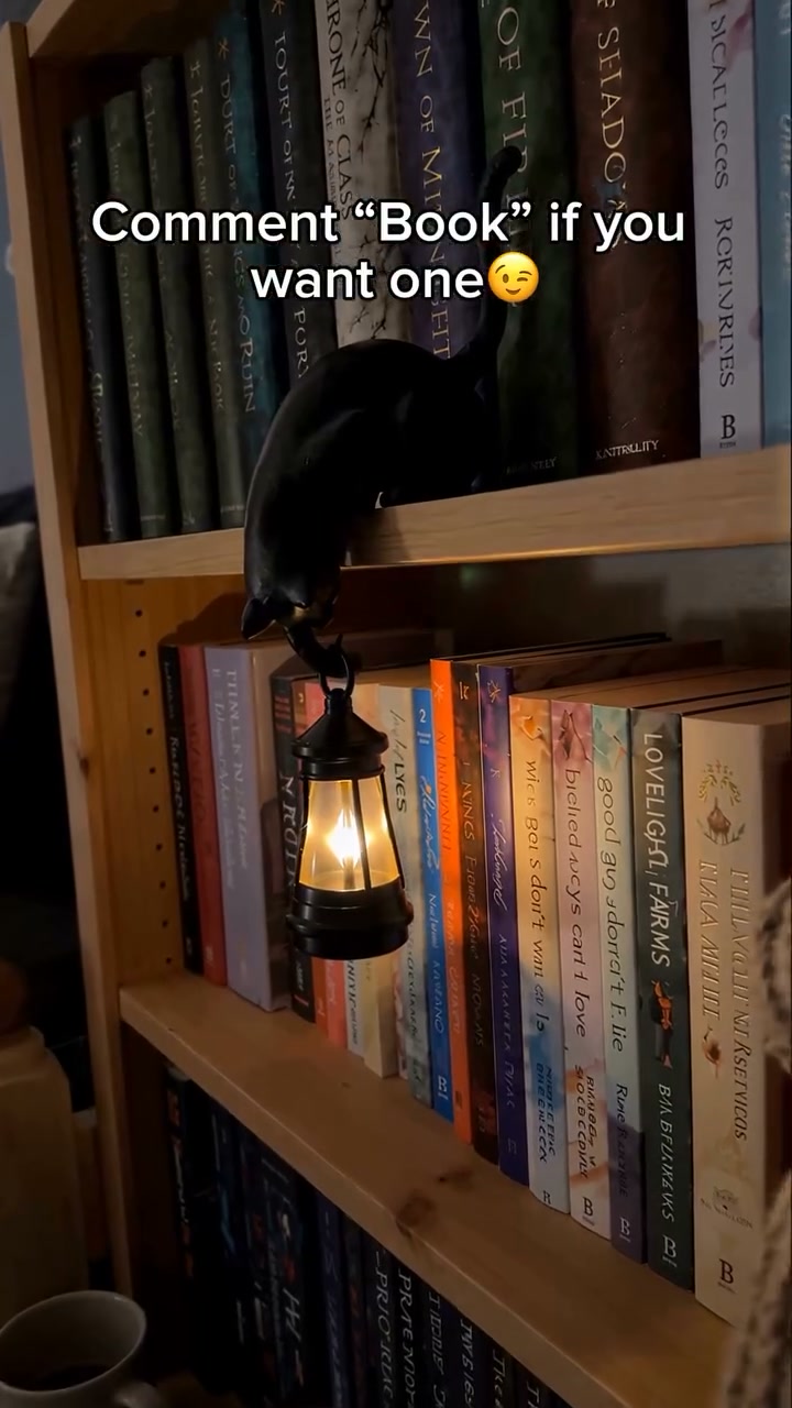 Your Shelf Needs This