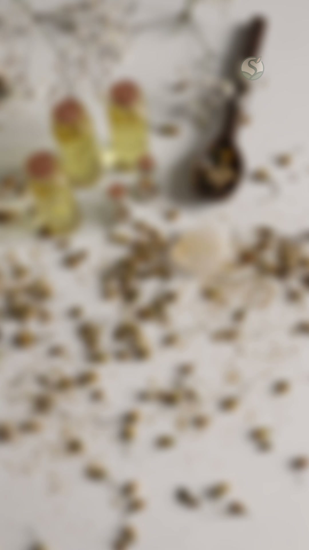 Orégano: El Aliado de Tu Flora Intestinal · 50% OFF