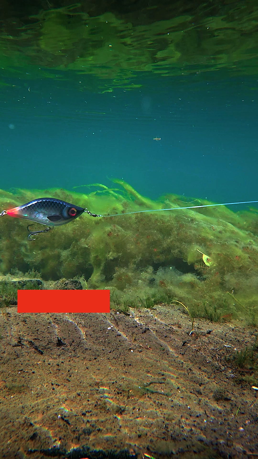 Bästsäljande fiskedrag för gädda