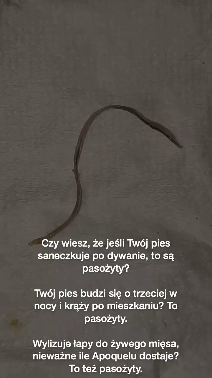 To nie alergia. To pasożyty.