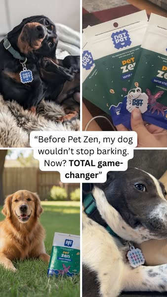 Say Goodbye to Barking, Peeing & Panic — All from Pet Zen