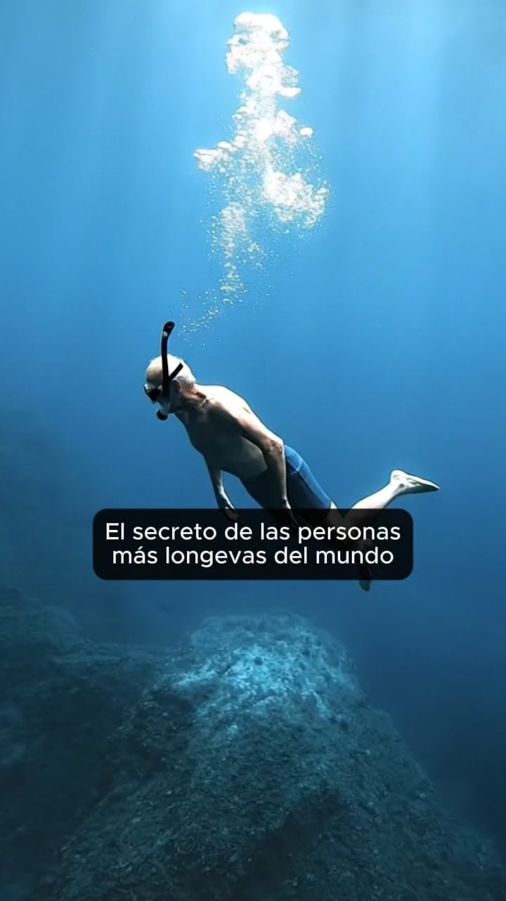 60% DE DESCUENTO + ENVÍO GRATIS — ¡ÚLTIMO DÍA!