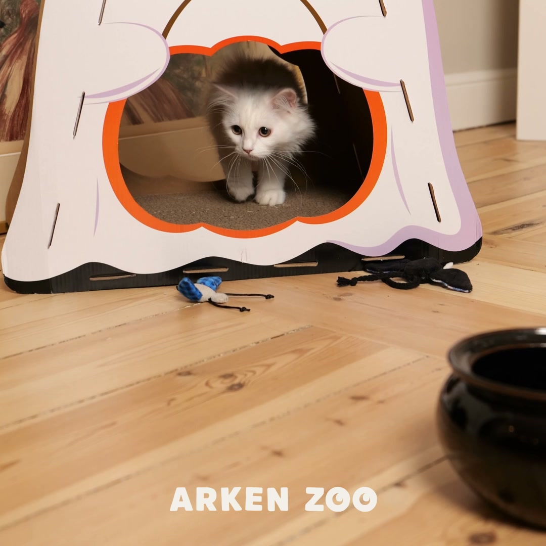 Halloween hos Arken Zoo!
