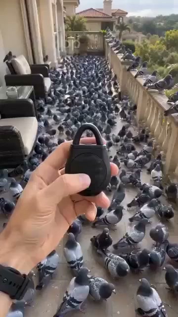 WOW! 50% RABATT