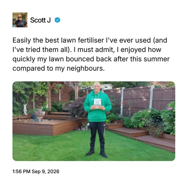 Revive your lawn with a single autumn feed
