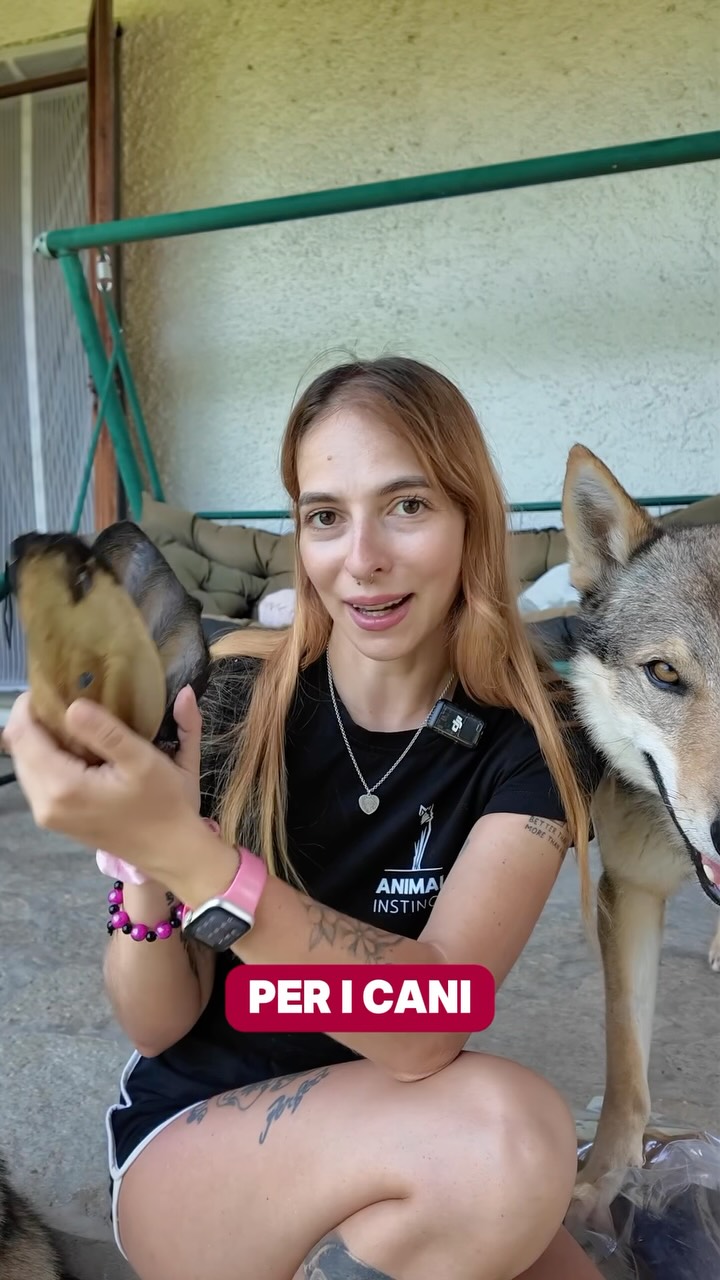Anúncio de Animal Instinct