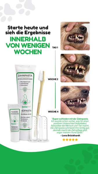 Nur das Beste für deinen Vierbeiner