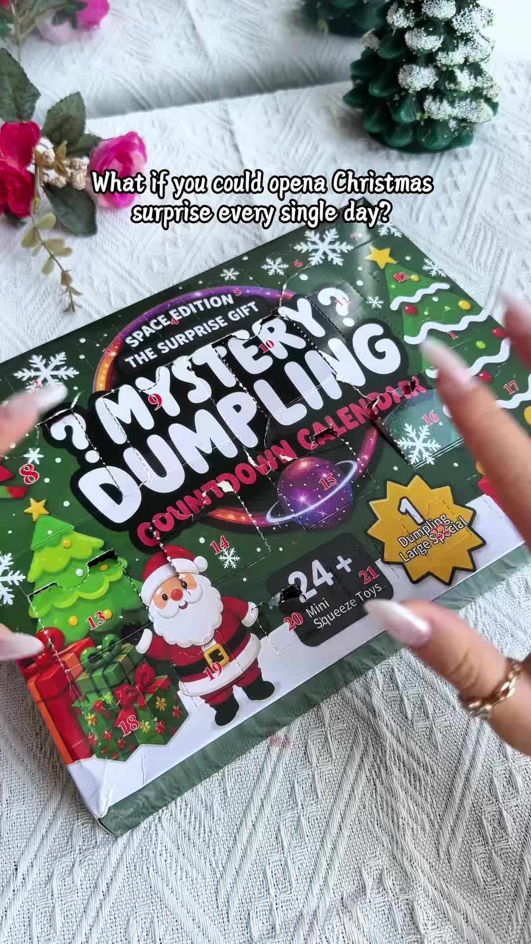Christmas Dumpling Squishy Advent Calendar - 24 Surprise Toys Inside!