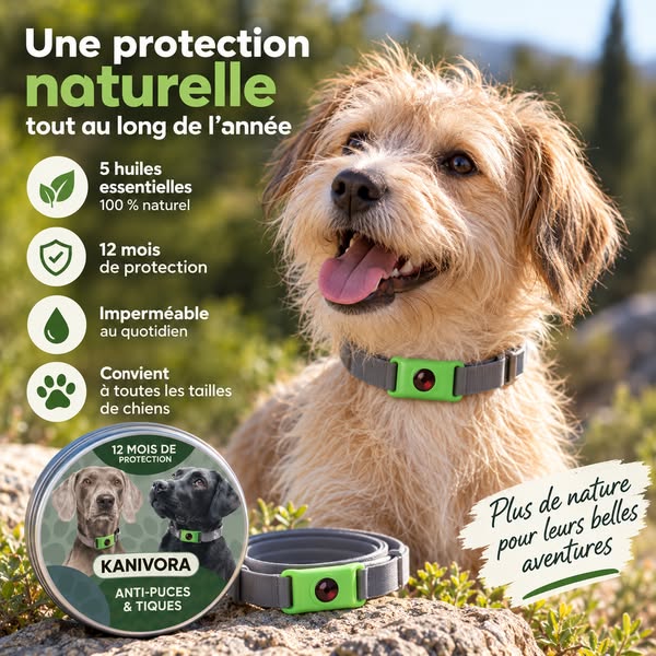 Une protection naturelle, 12 mois, sans comprimé ni pipette.