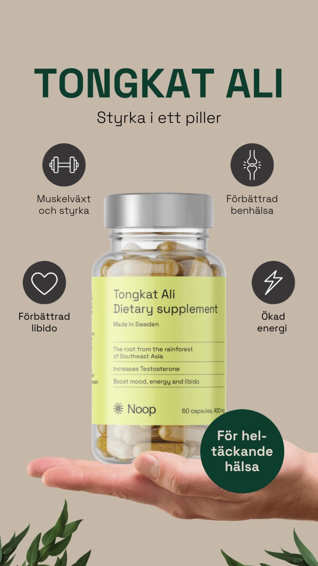 Vill du testa Tongkat Ali? Börja med ett labbtestat 200:1-extrakt