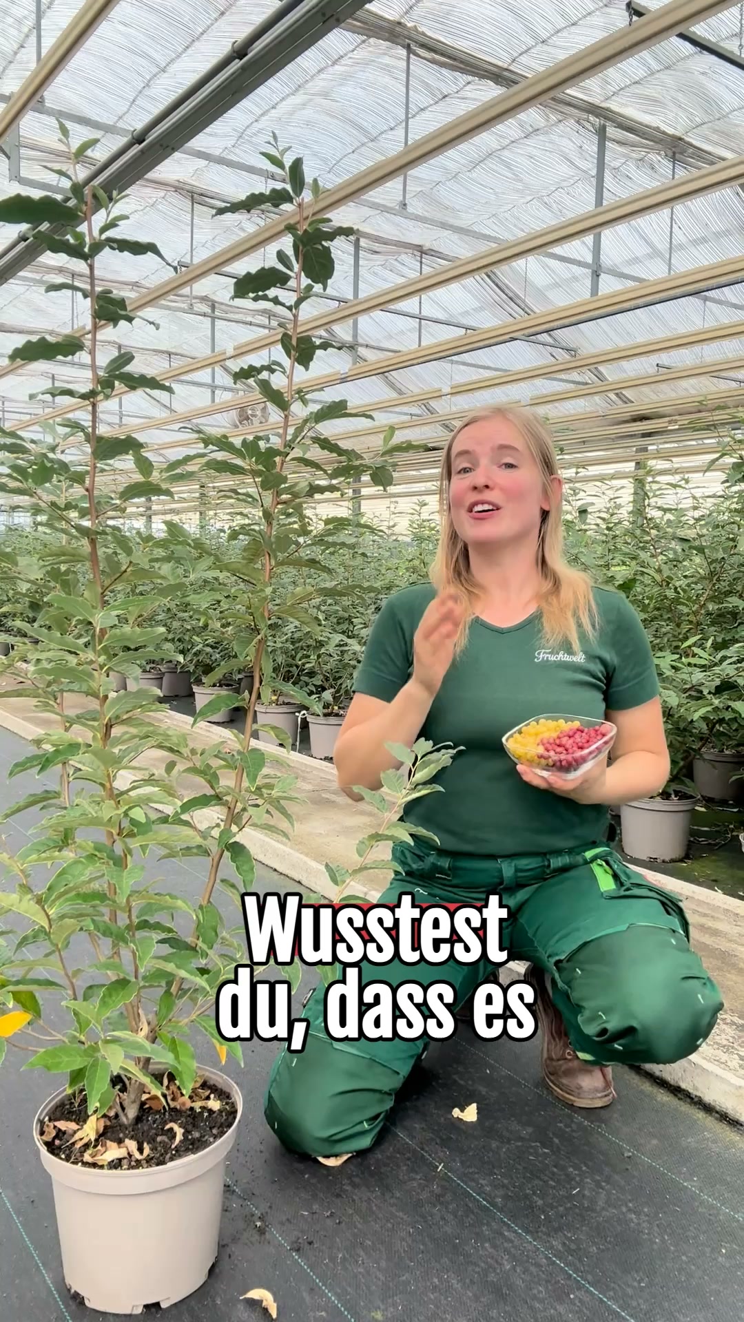 Absolute Wunderpflanze
