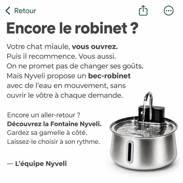 L'erreur de gamelle d'eau que font la plupart des propriétaires de chats