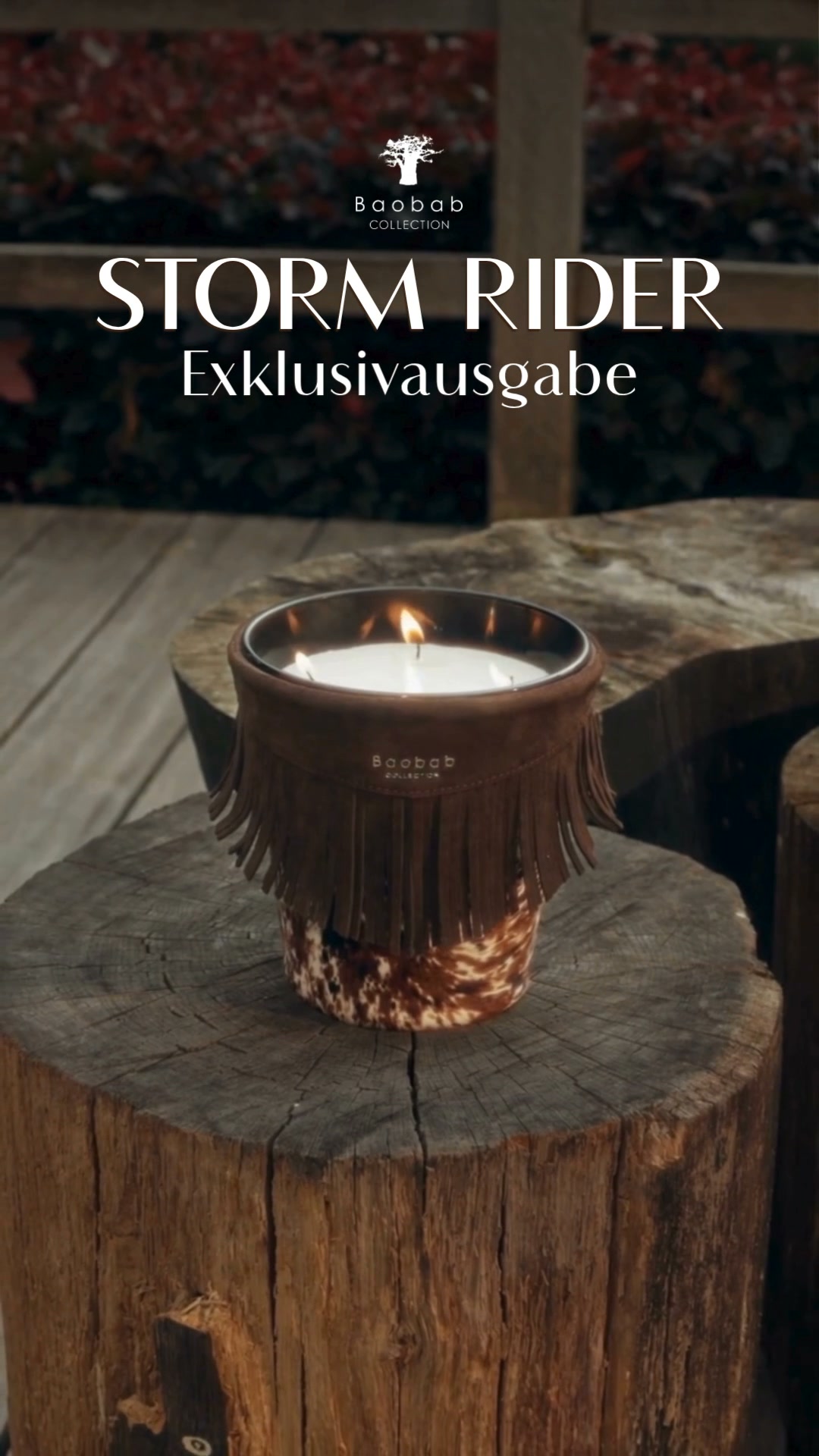 Entdecken Sie unsere limitierte Auflage
