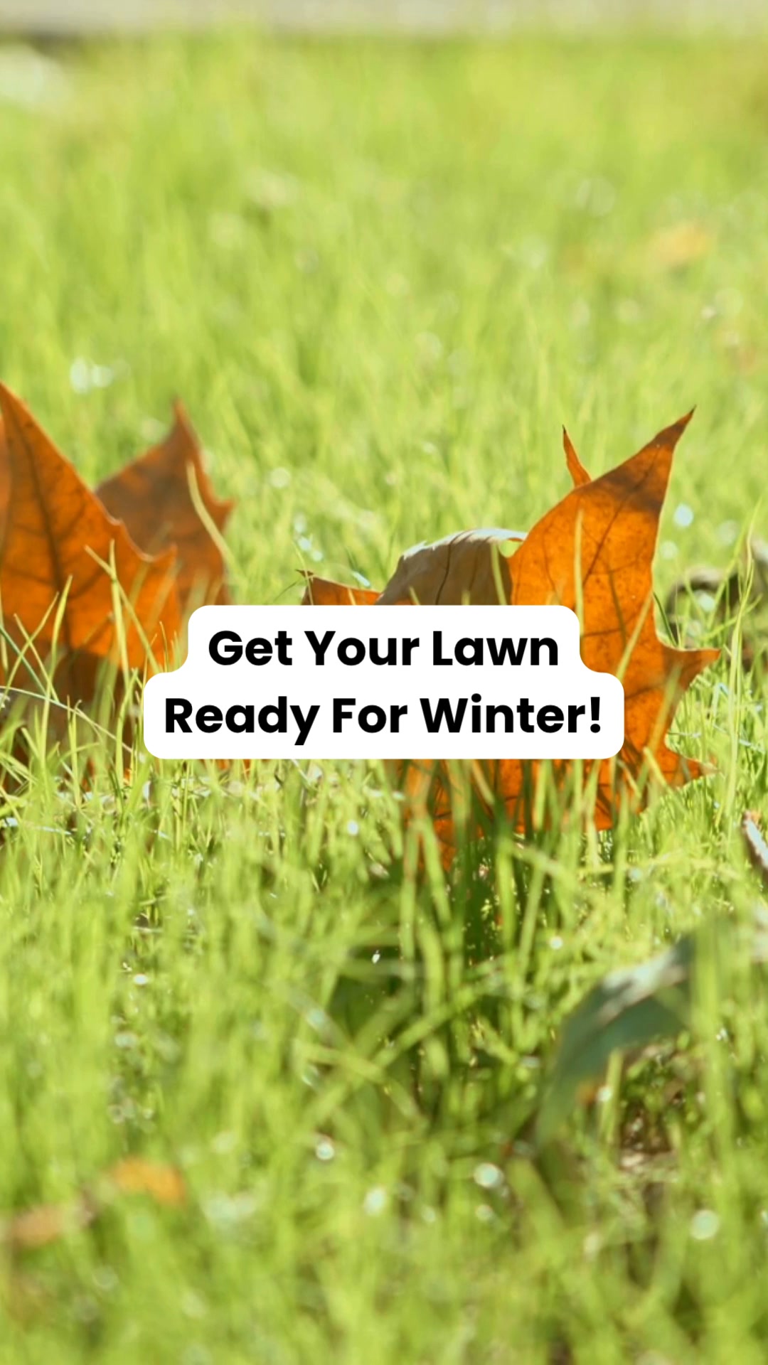 Autumn Lawn Care Products