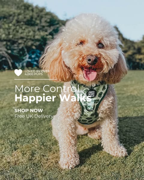 More control. Happier walks.