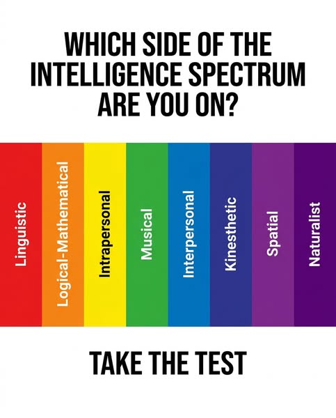 Try Now --->
