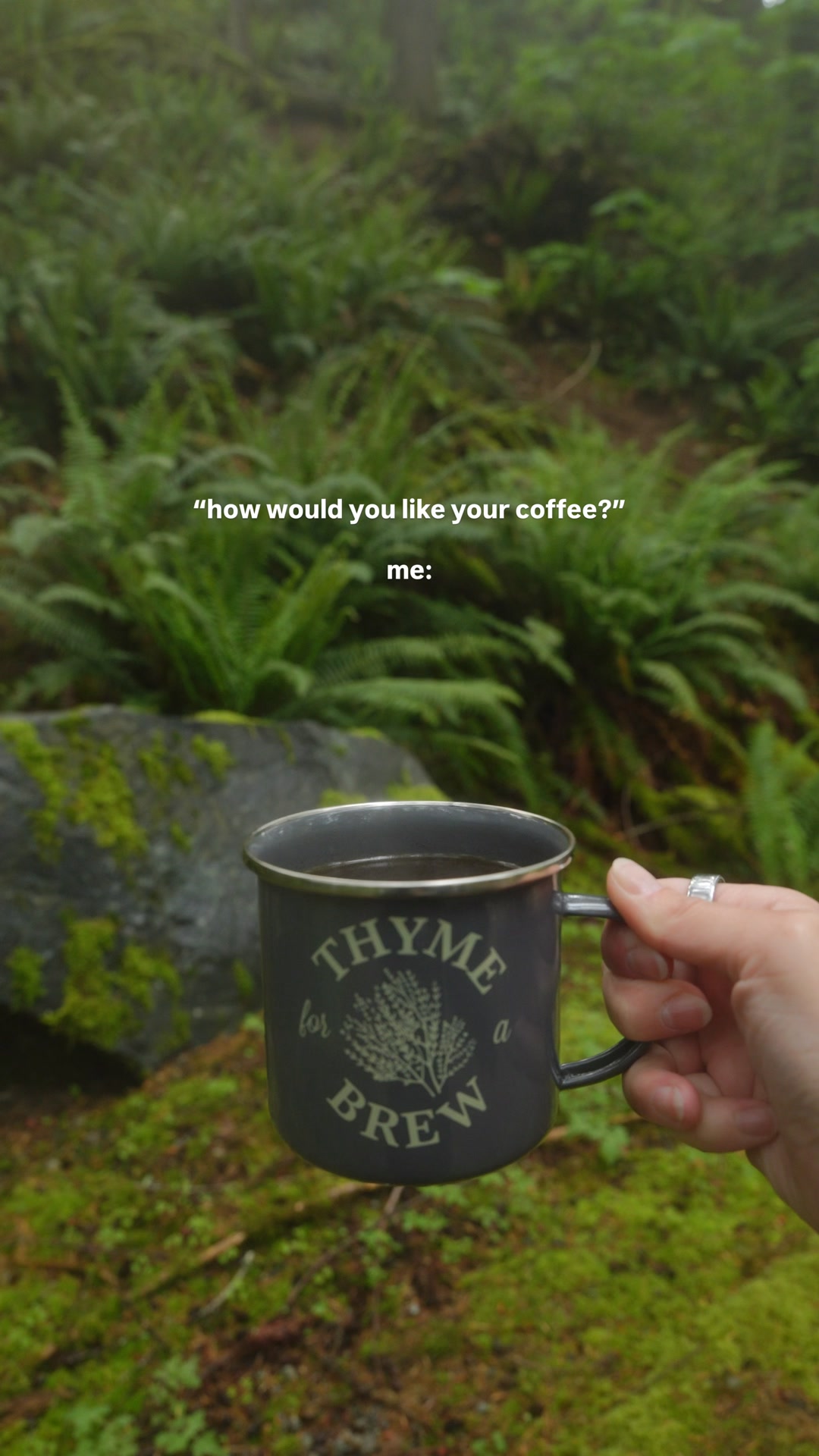 Premium Plastic-Free Coffee Press
