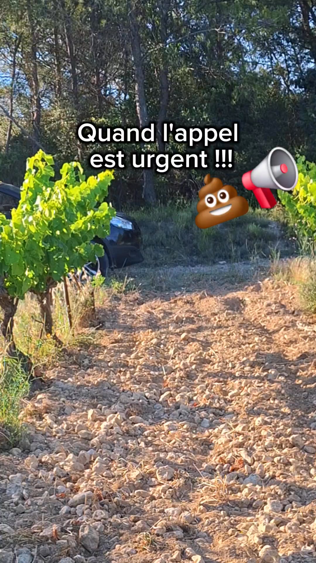 Plus jamais coincé en pleine nature sans solution