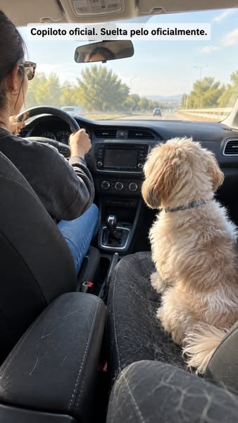 Gánale la batalla al pelo de tu mascota.