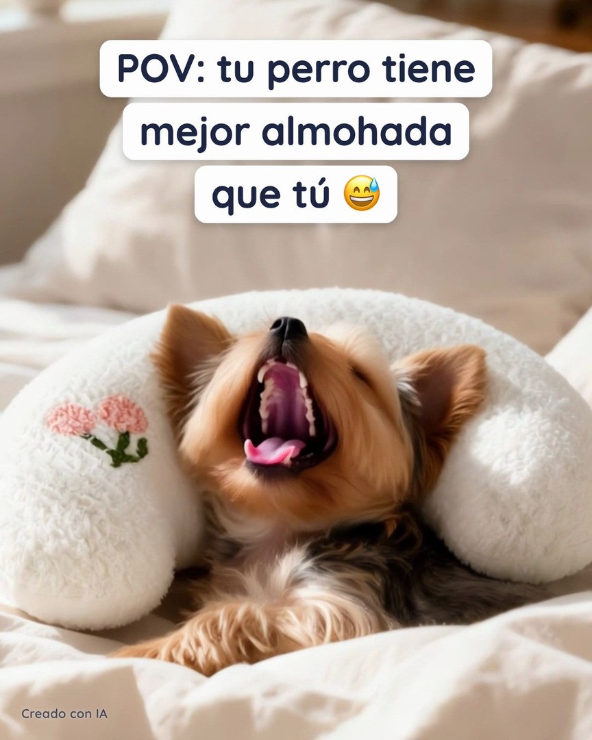 2 almohadas · 29,95 €