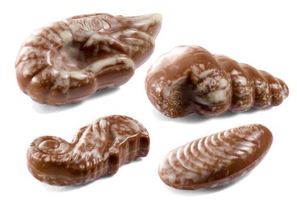 Zomer Chocolade