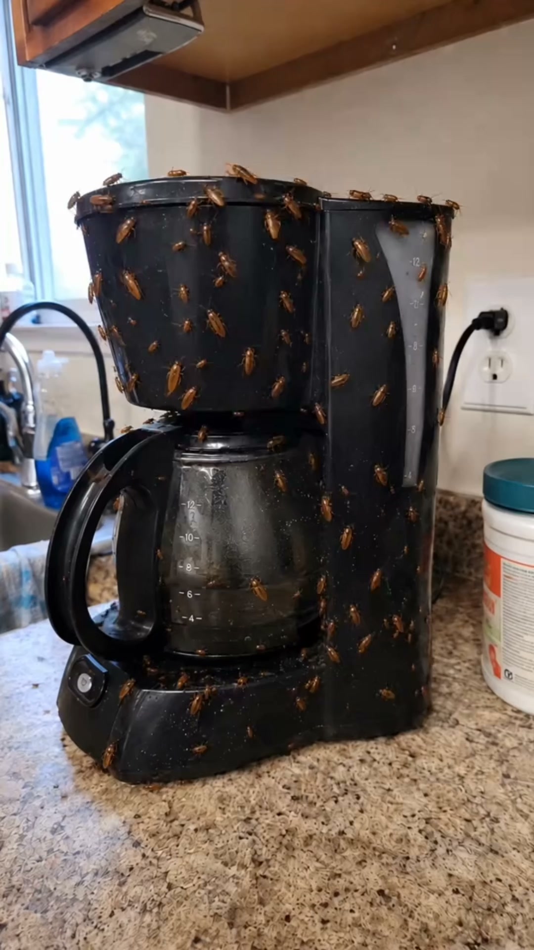 40+ Pests. One Powerful Solution.