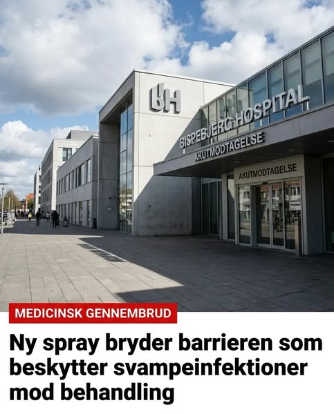 Hudlæge forklarer, hvorfor det bliver ved med at komme tilbage – Læs mere...