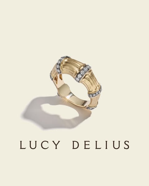Explore the collection