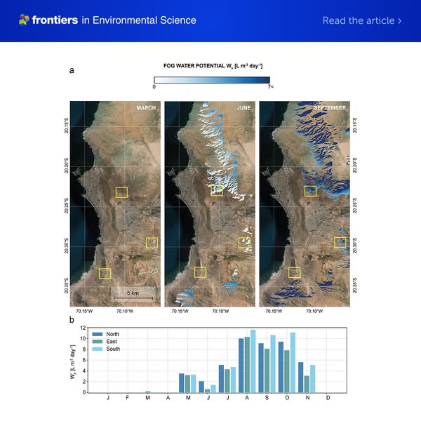 Read now: Unlocking the fog: assessing fog collection potential and need as a complementary water resource in arid urban lands–the Alto Hosp