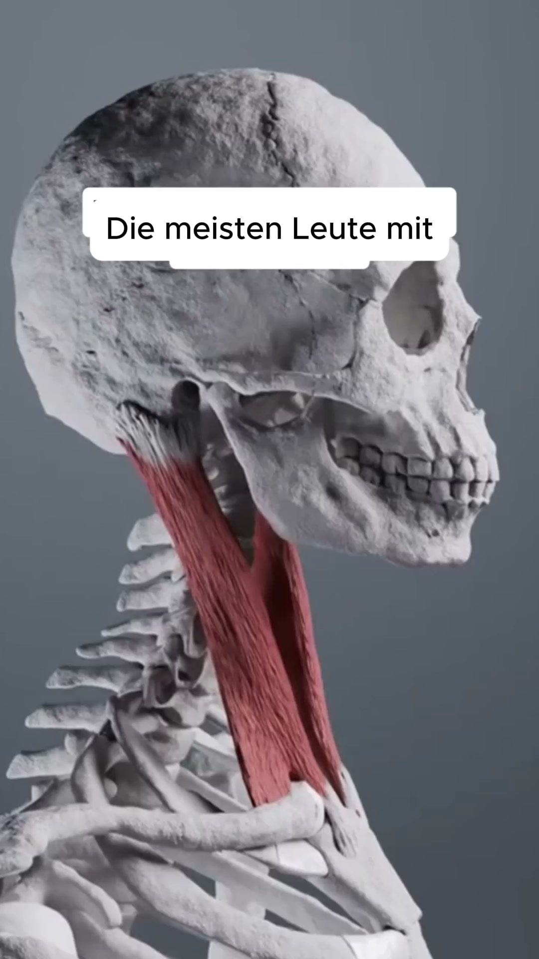 Schluss mit dem Verspannungs-Kreislauf