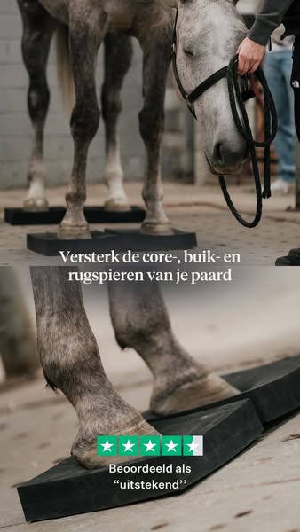 Versterkt de romp, buik- en rugspieren