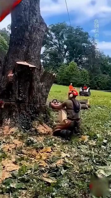 Anúncio de Natitrun