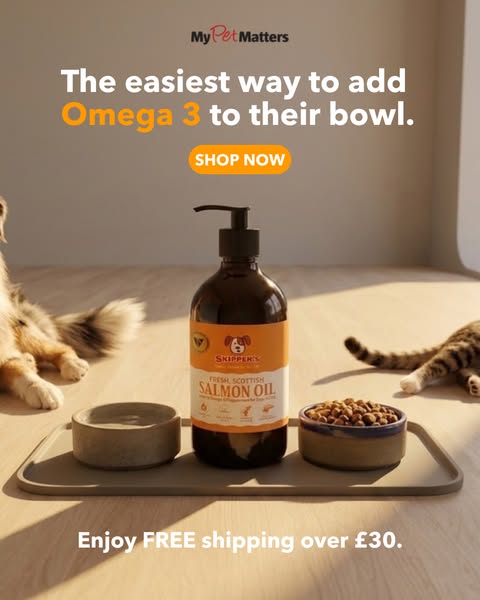 15% Off Your First Order + Free Shipping Over £30