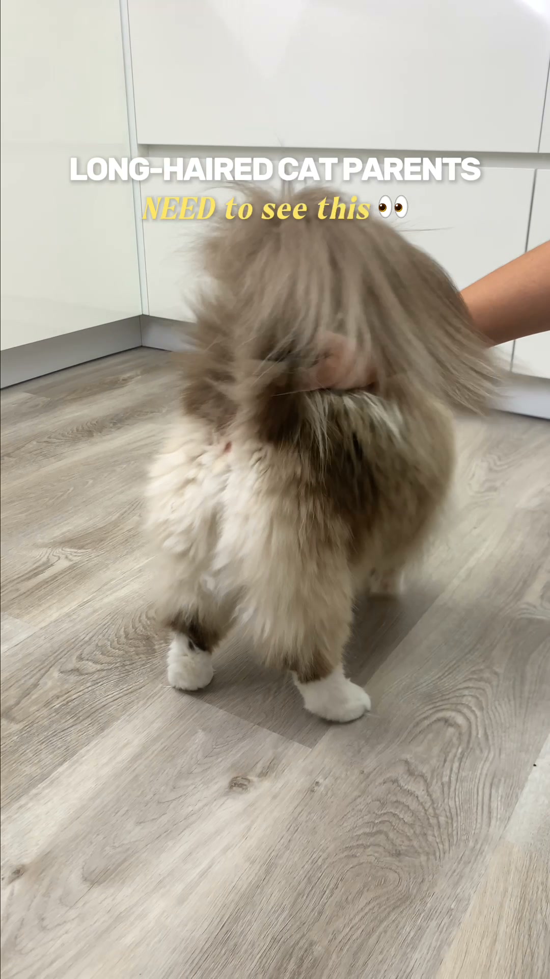 Shop FurTrim