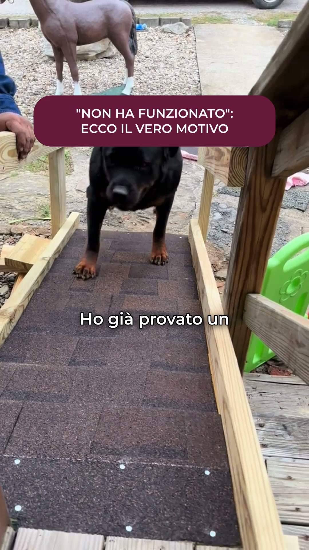 Glucosamina ma zero risultati? Ecco cosa potrebbe mancare