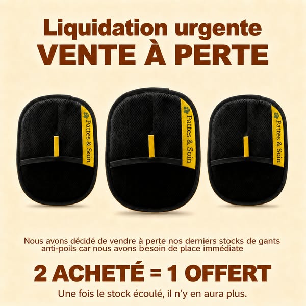 Plus besoin d’aspirateur ou de rouleaux !