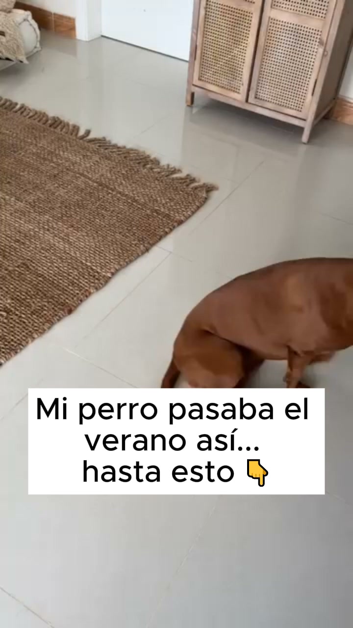 Dale su rincón fresco este verano