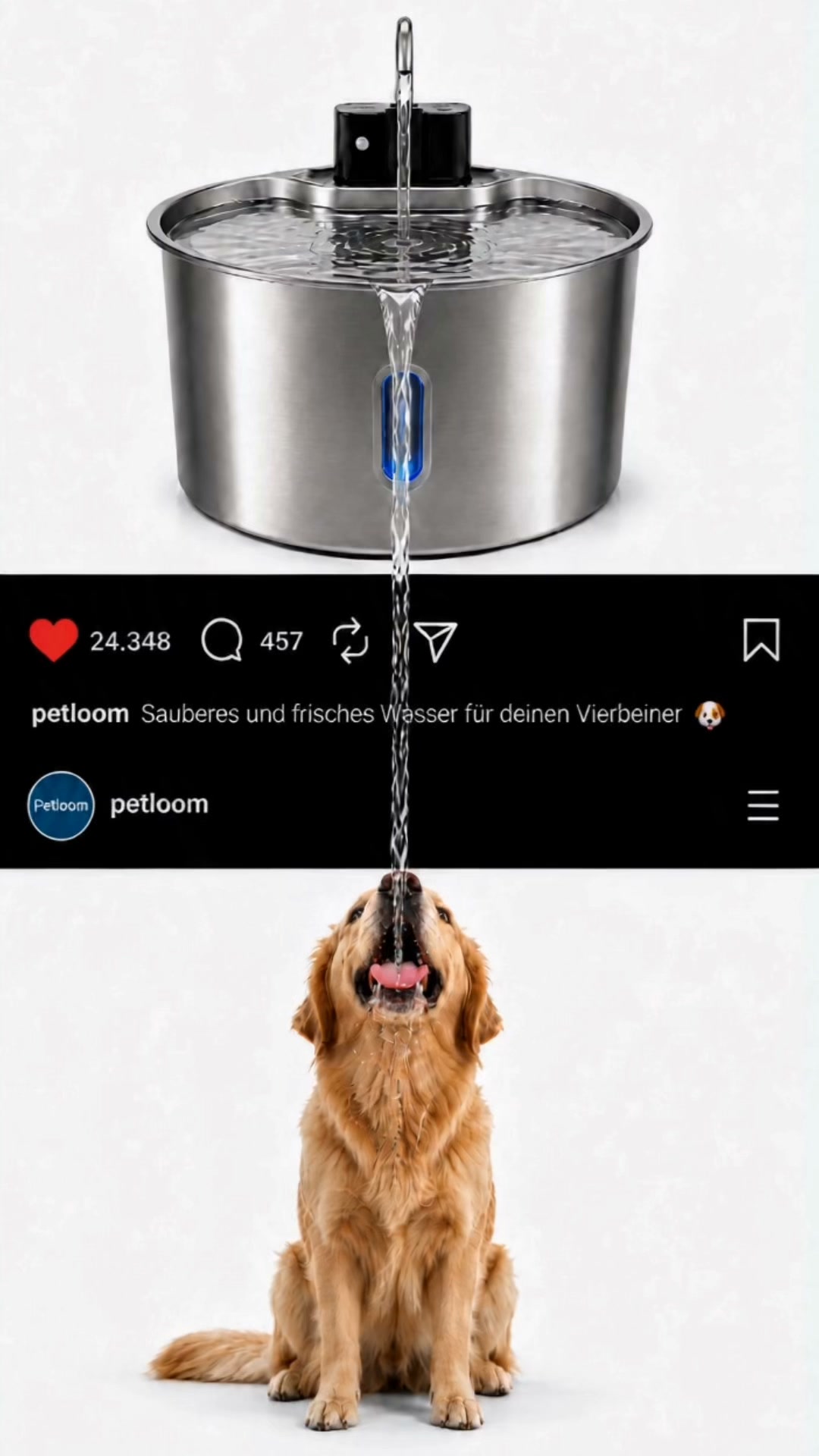 Verdient dein Hund nicht das Beste?