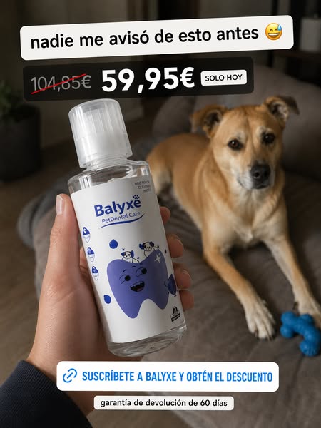Tu pedido sigue esperando